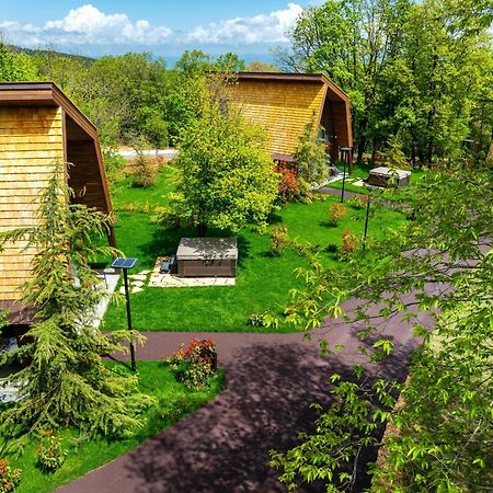 Bioli Wellness Resort Kojori Luaran gambar