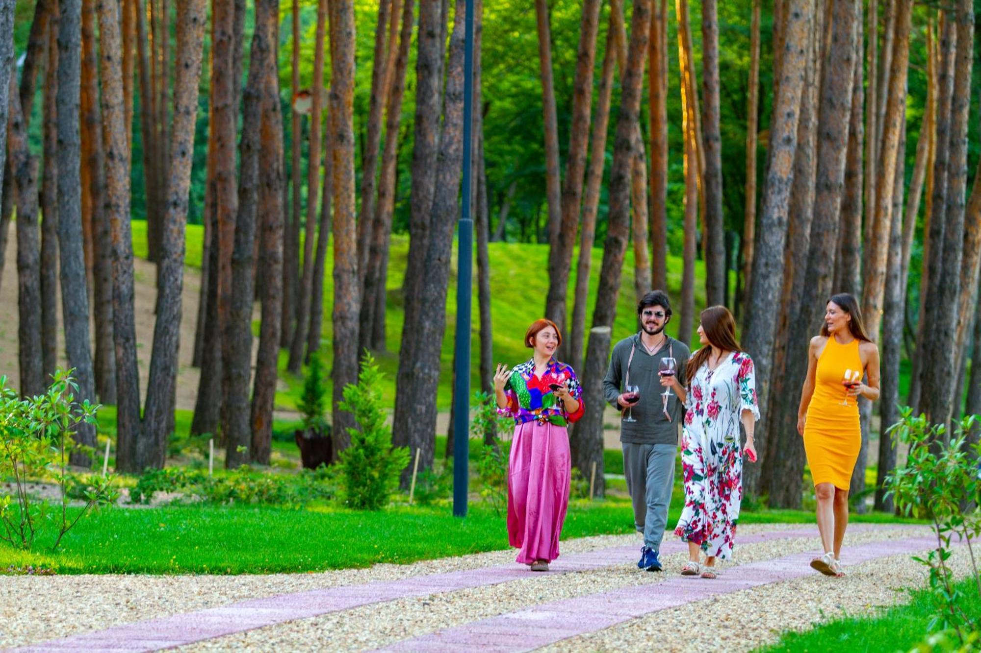 Bioli Wellness Resort Kojori Luaran gambar