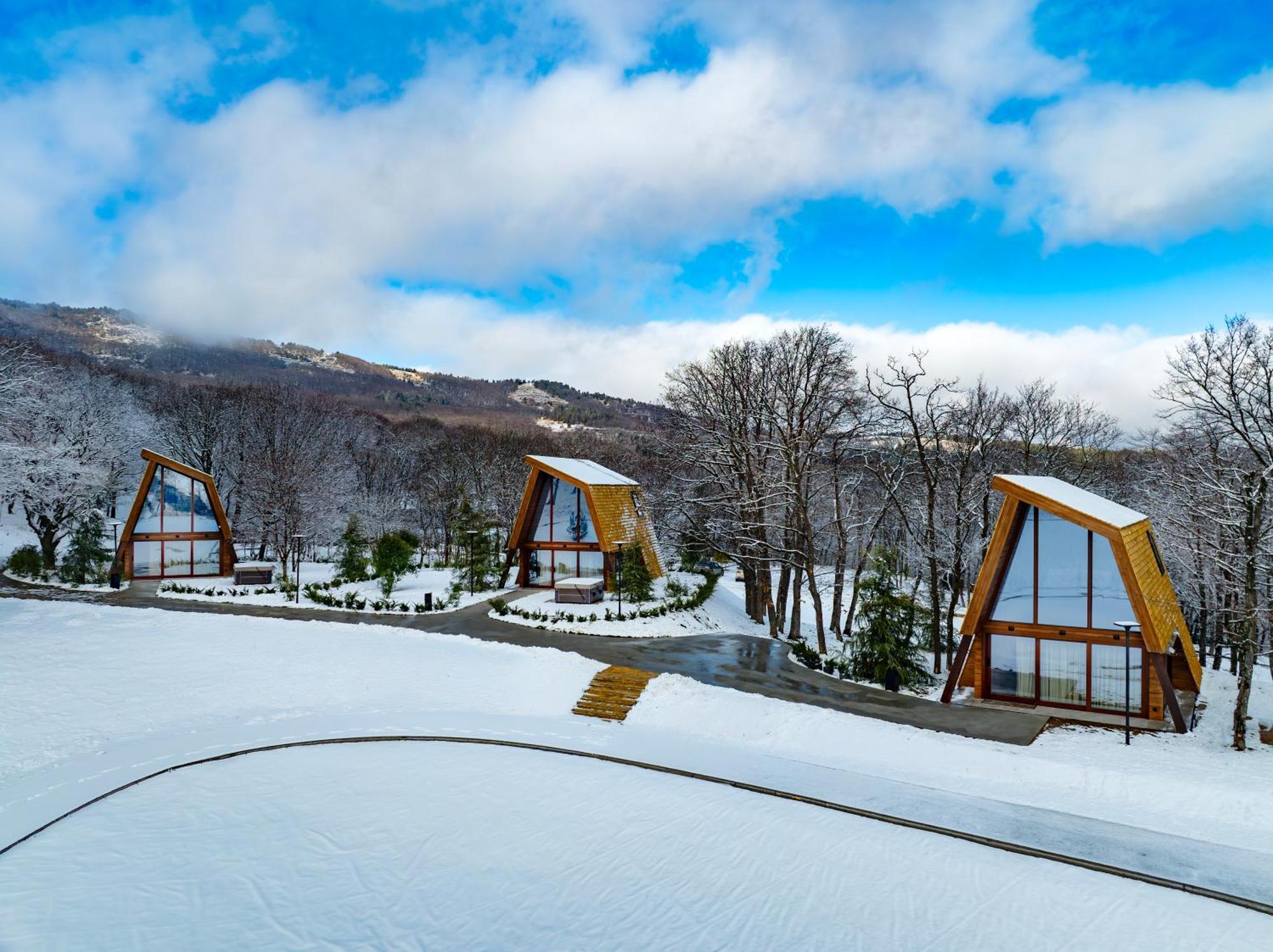 Bioli Wellness Resort Kojori Bilik gambar